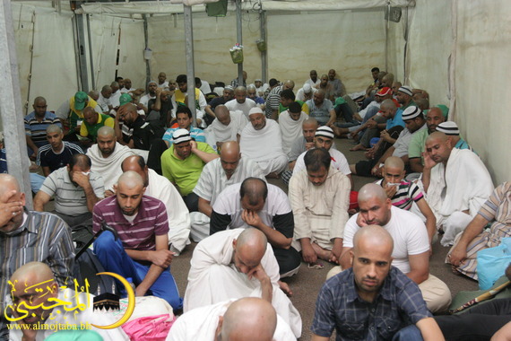 صورة المقال