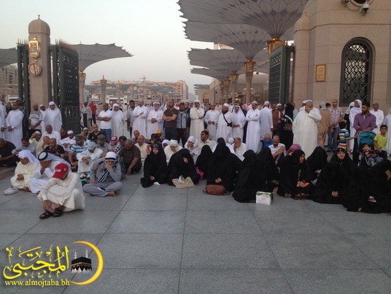صورة المقال