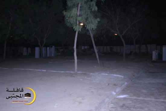 صورة المقال