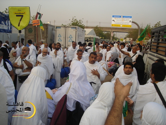 صورة المقال
