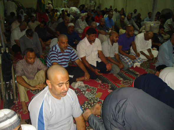 صورة المقال
