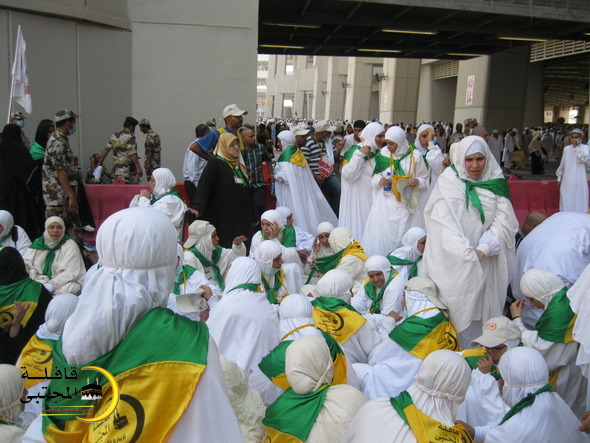 صورة المقال