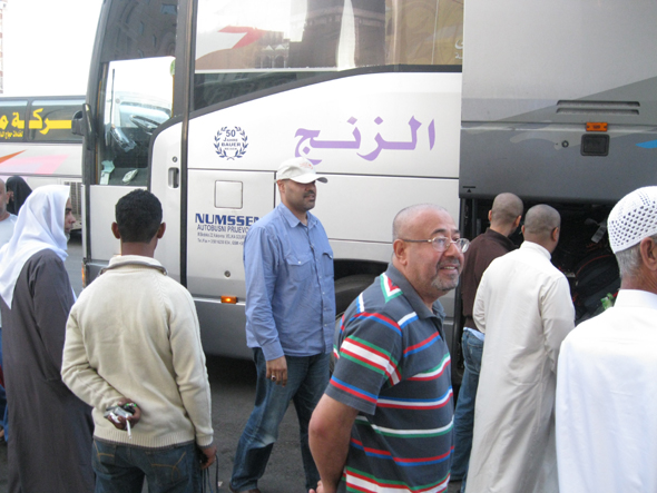 صورة المقال