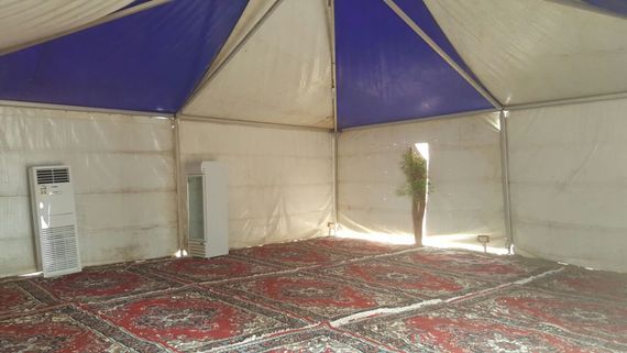 صورة المقال