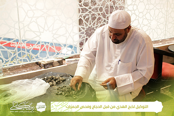 صورة المقال