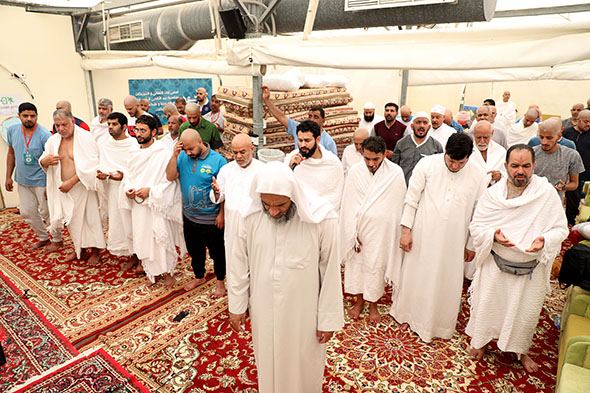صورة المقال