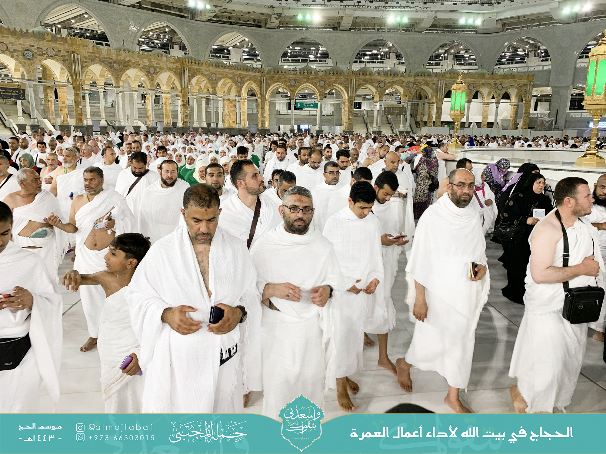 صورة المقال