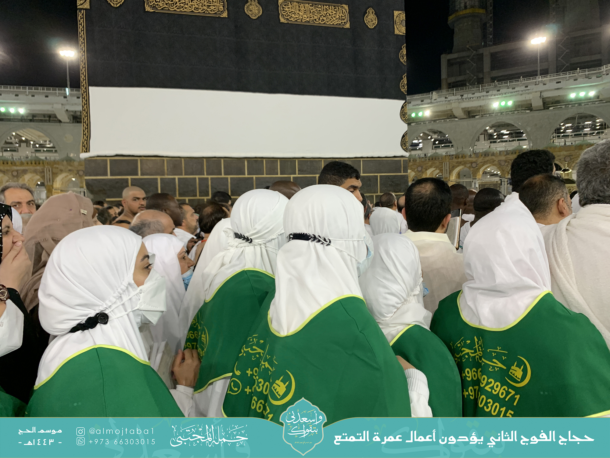 صورة المقال