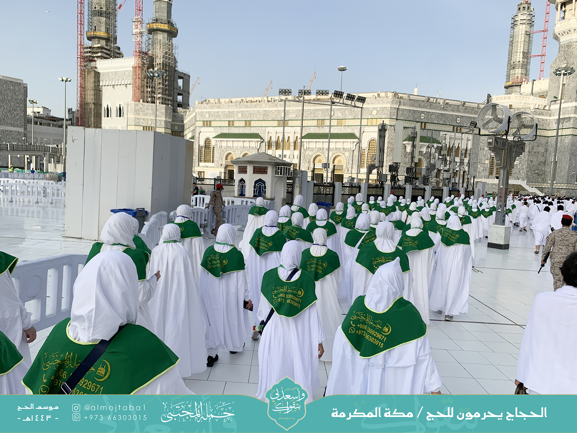 صورة المقال
