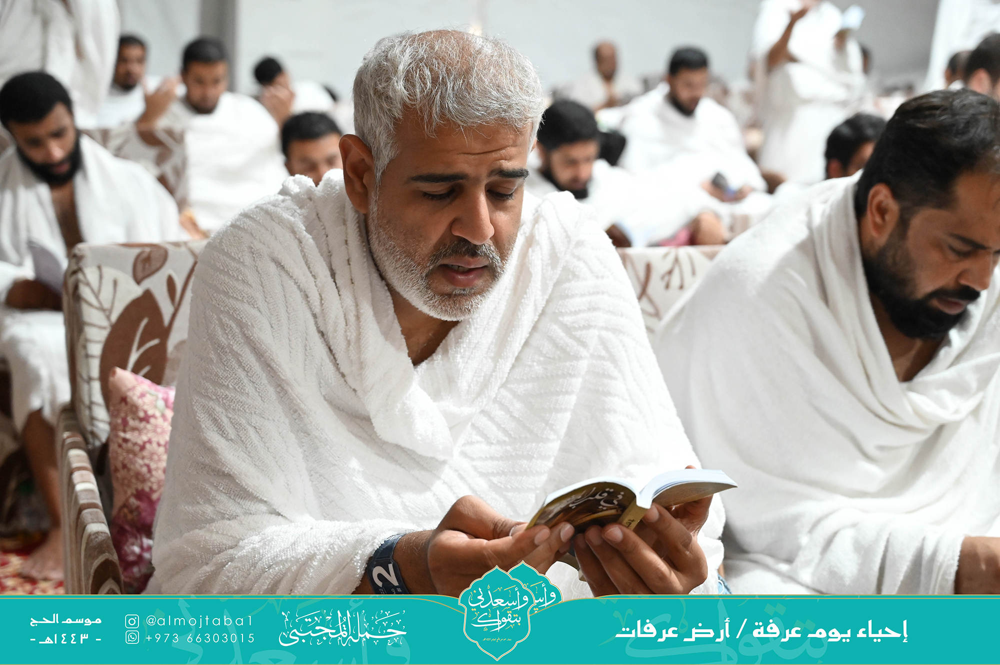 صورة المقال