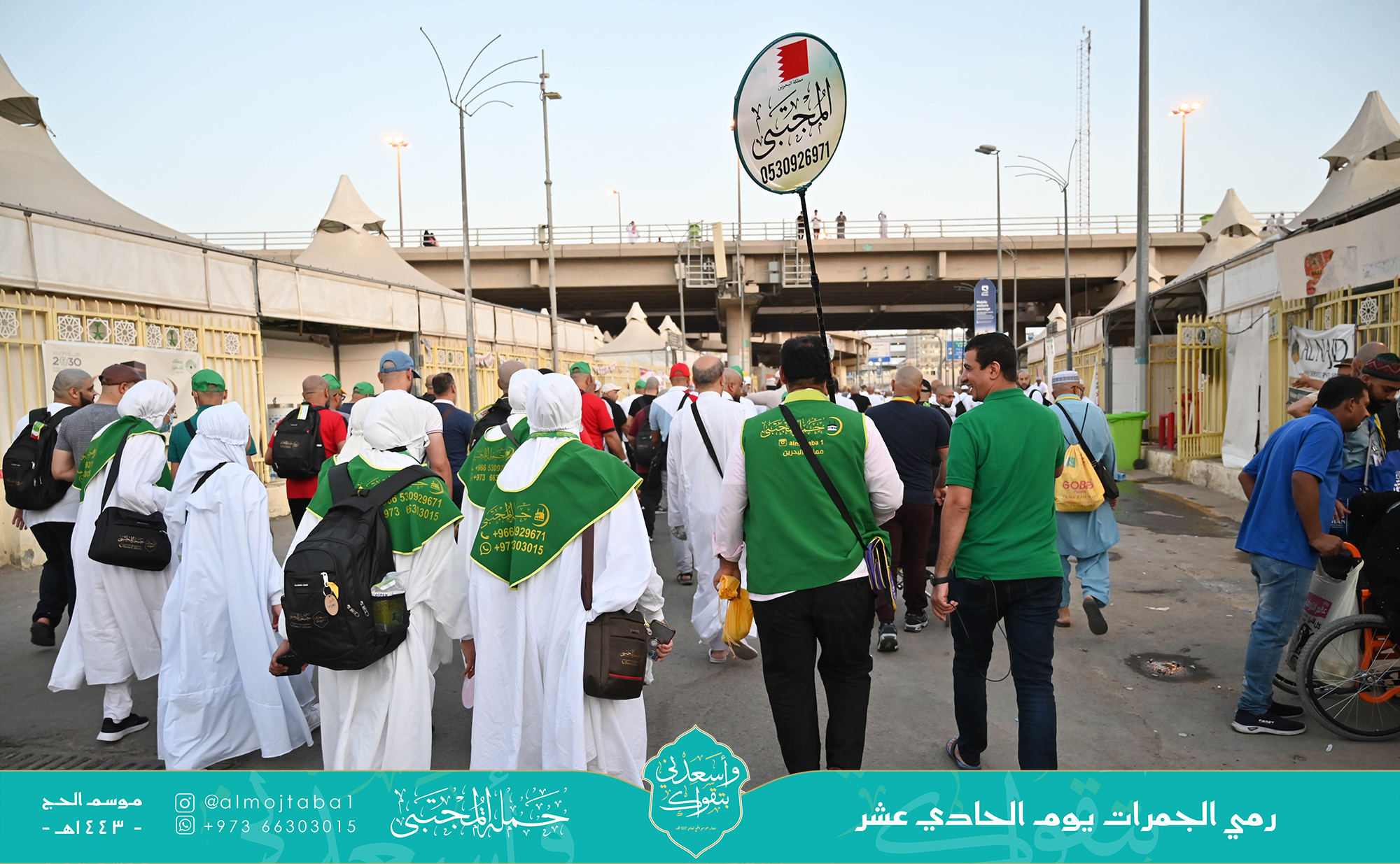 صورة المقال
